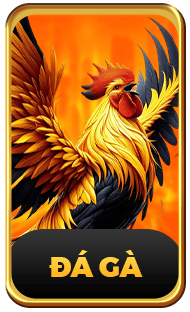 13Win ⭐️ Thế Giới Cá Cược Dành Cho Game Thủ Châu Lục 15 13win 1